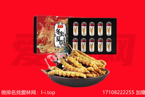 巴中市平昌县回收虫草.jpg